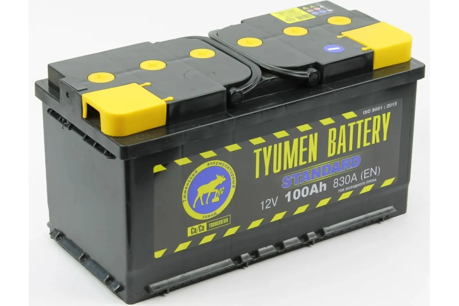 Аккумуляторная батарея TYUMEN BATTERY Тюмень standard 6ст -100.1 l TNS100.1