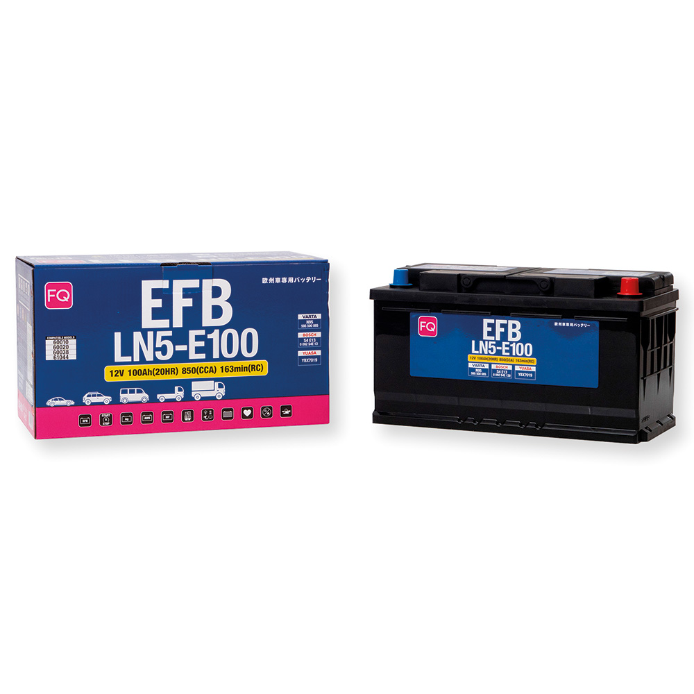 Аккумуляторная батарея FQ EFBLN5E100 DIN 100Ah